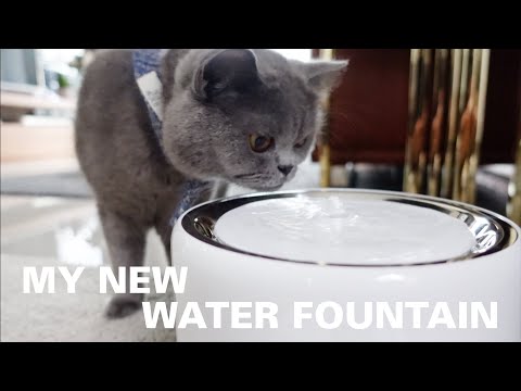 PETKIT EVERSWEET 3 WATER FOUNTAIN REVIEW | KITTICOOPER
