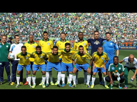 Palmeiras Campeão do Campeonato Brasileiro Série B 2013 - Campanha Completa