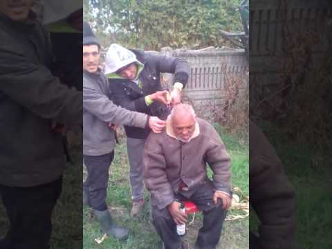 Benone din Falfani la frizerie!