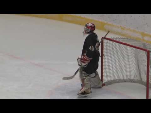 Hokejisti sa tešili z výhry