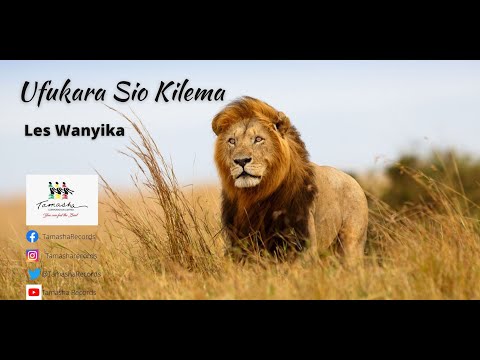 Ufukara Sio Kilema [with Lyrics] by Les Wanyika