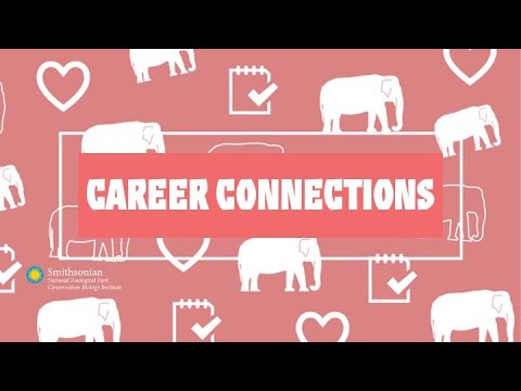 Career Connections: Animal Keeper - Training Reptiles