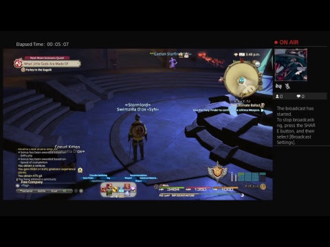 FFXIV Advetures.  Trying to farm pudding.