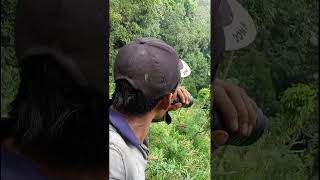 Download lagu Mikat Kijang mp3