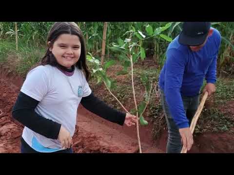 institucional 2025