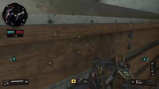 Bo4