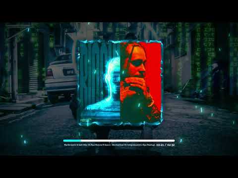 Martin Garrix & Seth Hills VS Post Malone ft Quavo - Biochemical VS Congratulations (Ryo Mashup)