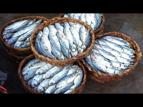 Chhbar Ampov In Early Morning- Fresh Vegetables,Dried Fishes,Big Fishes, And Seafood