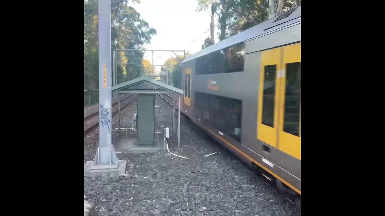 2026 Easter Trainspotting at Killara Waratah Aset A5 Passing for a Berowra Service in Peak Hours