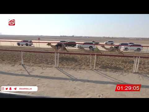  ش 21 (خطاب) لـ سعيد بن عبدالله المقبالي 2:20:90 ، شارة الصندوق 2026/07/25 فطامين الوثبة