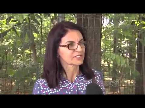 *[YTPBR] A senhora não sabe falar