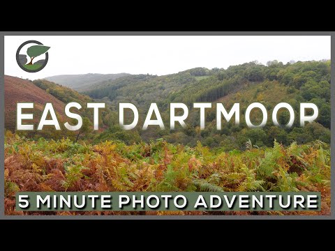 East Dartmoor | Autumn Landscape Photography | A 5 Minute Photo Adventure