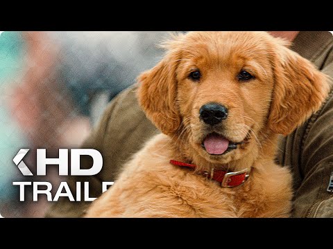 Trailer-Vorschau: Enzo und die wundersame Welt der Menschen