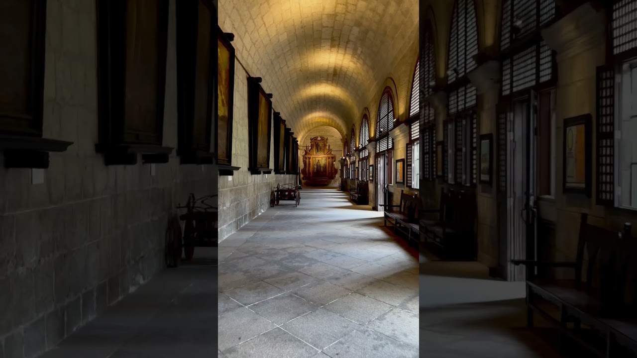 YouTube Short thumbnail