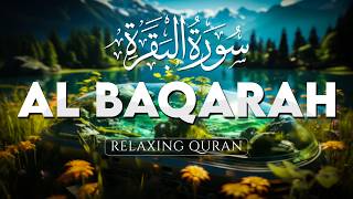 Download lagu Suara Merdu Bikin Pikiran Tenang | Murotal Al Quran Surah Al-Baqarah Full - AHMAD AL SHALABI mp3 Download lagu Suara Merdu Bikin Pikiran Tenang | Murotal Al Quran Surah Al-Baqarah Full - AHMAD AL SHALABI mp3