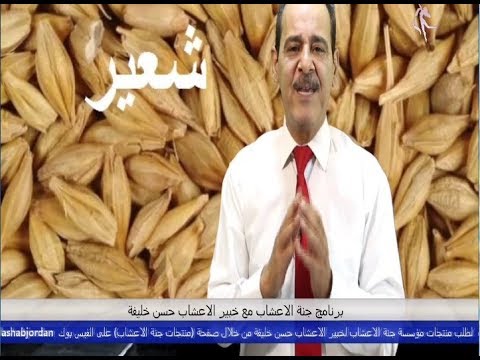 , title : 'فوائد الشعير مع خبير الاعشاب حسن خليفة - جنة الاعشاب'