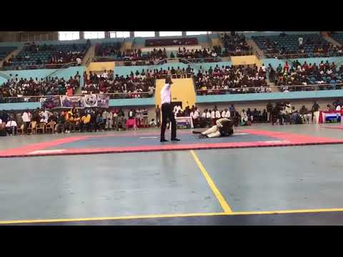 Mp chat noir 🇨🇬en blanc dragon vs chilo en bleu kawashi