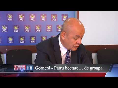 Gorneni   Patru hectare… de groapa