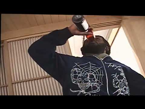 YOUNG SURF - Cat Piss (Official Video)