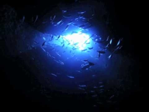 The xx vs Adele "Intro to the Deep" mashup