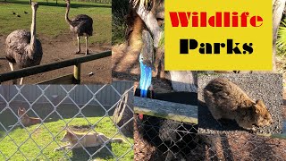 Oakvale Wildlife Park #106 | wild animals, animal videos, Emu, Ostrich, Dingo, Owl, animal sounds 💖💖