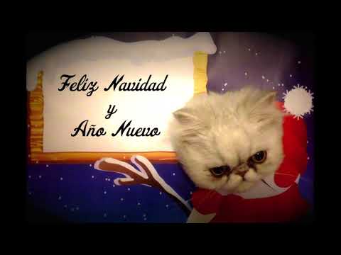 Saludo Gatuno   Importadora Luz Marina