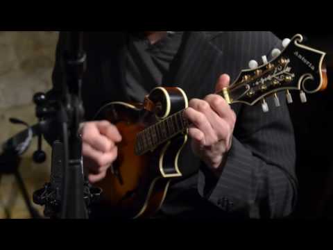 The Happy Cats Travelling Sesssions - Here We Are