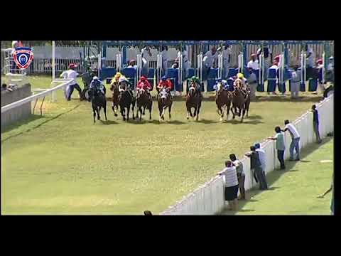 RM37 R4 | Overdose | J.Allyhosain