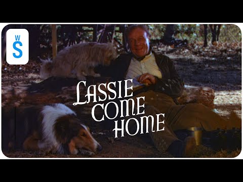 Lassie Come Home (1943) | Scene: Rowlie is attacked by two roving thieves, Buckles and Snickers