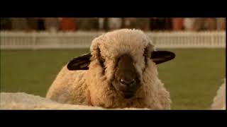 Realistic Robots Dream of electric sheep   Babe animatronics BTS