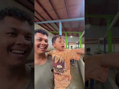 POV ABANG SHAQUILLE CARI HEWAN QURBAN