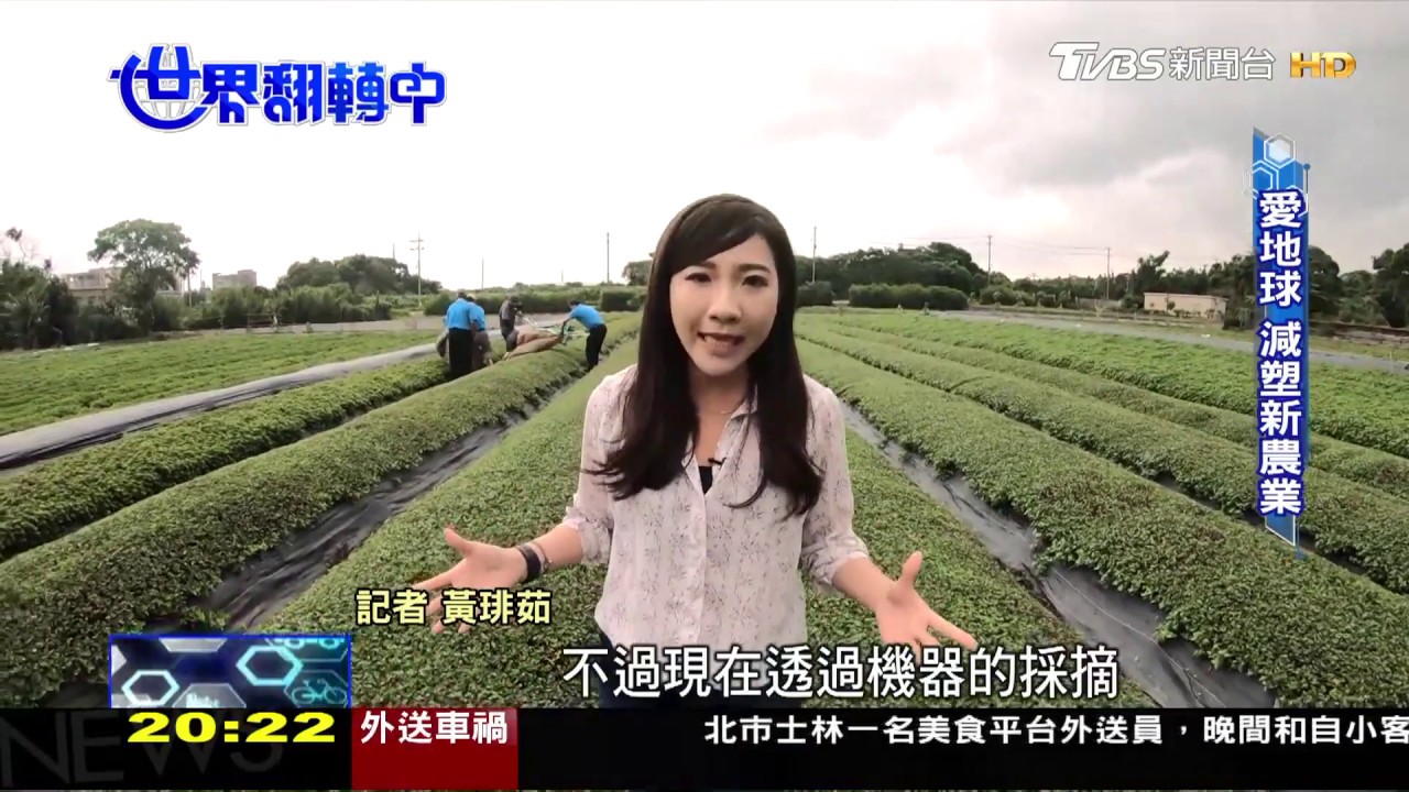 改良品種對抗氣候變遷 農作物的「科技優生學」