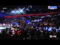 Roman Reigns Awesome Entry 2015