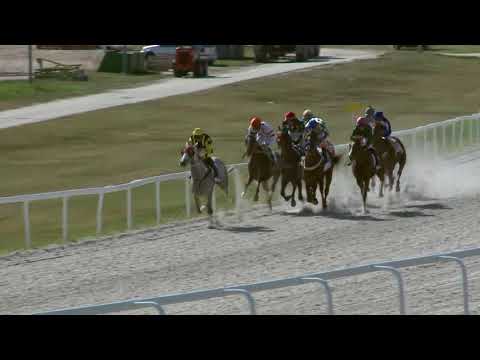 2018.08.12. 05. futam - SŐRNYEI HENDIKEP (IV.o.) (szintetikus pálya)