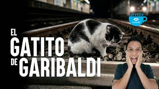 EL GATITO DE GARIBALDI