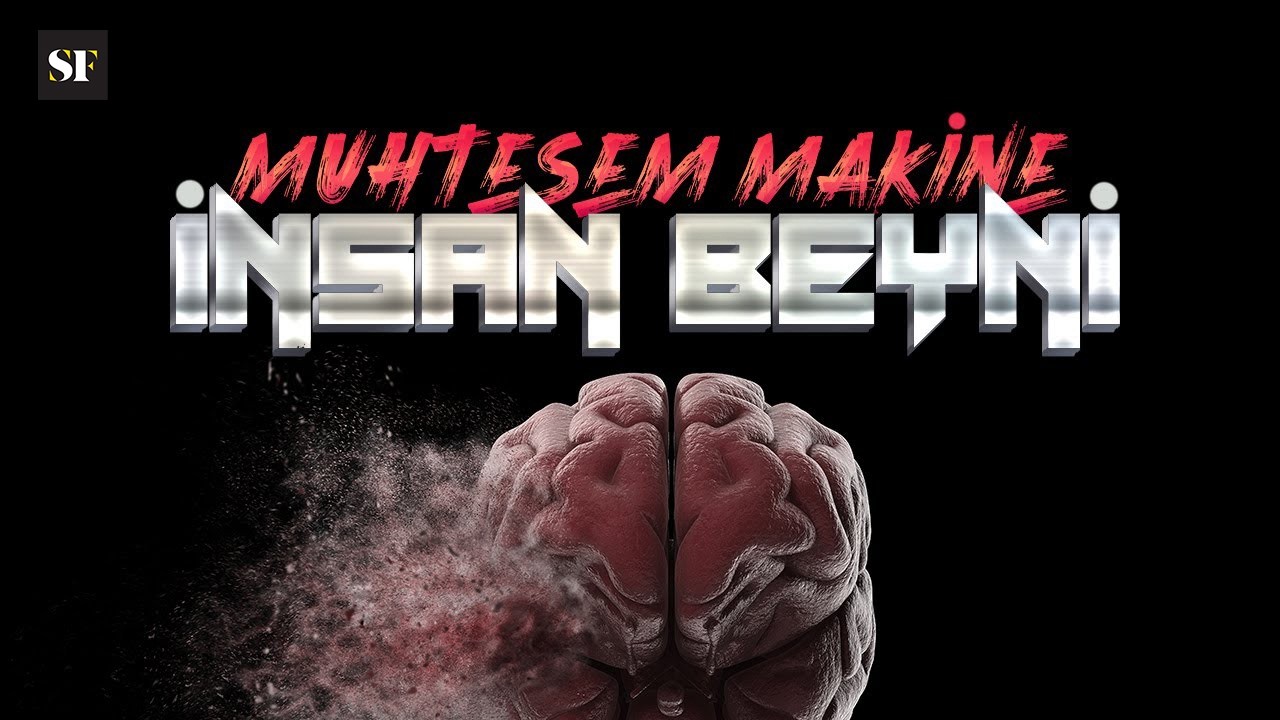 Muhteşem Makine: İnsan Beyni | BBC Science Focus Türkiye