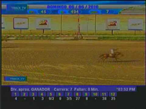 Resumen domingo 6 de Junio de 2010 - La Rinconada