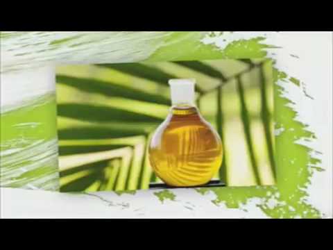 The Erin Simpson Show - Go Green - Save an Ape