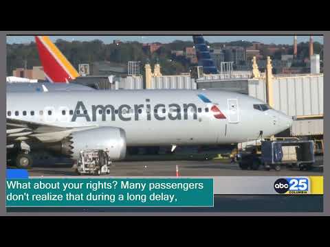 American Airlines Cancels Flights: Who Really Pays the Price?