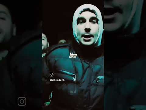 Novosadska setka 2 (Foksov deo)