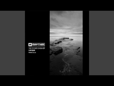 The Future Is Now ((Original Mix))