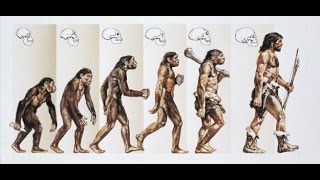La comparsa e l'evoluzione dell'uomo. Documentario adatto 2 liceo scientifico