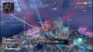 ゲーミングブタゴリラ