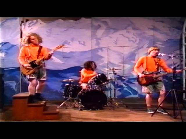 This is not a song - The Frank and Walters