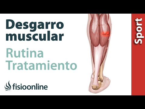 Rutina para  tratamiento de distensiones, desgarros musculares y roturas de fibras