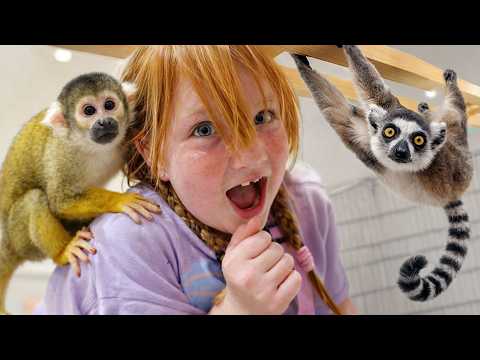 Monkey Jumps on ADLEY!!  Niko holds Baby Animals!  visiting a Japan Animal Cafe of cute Zoo Buddies