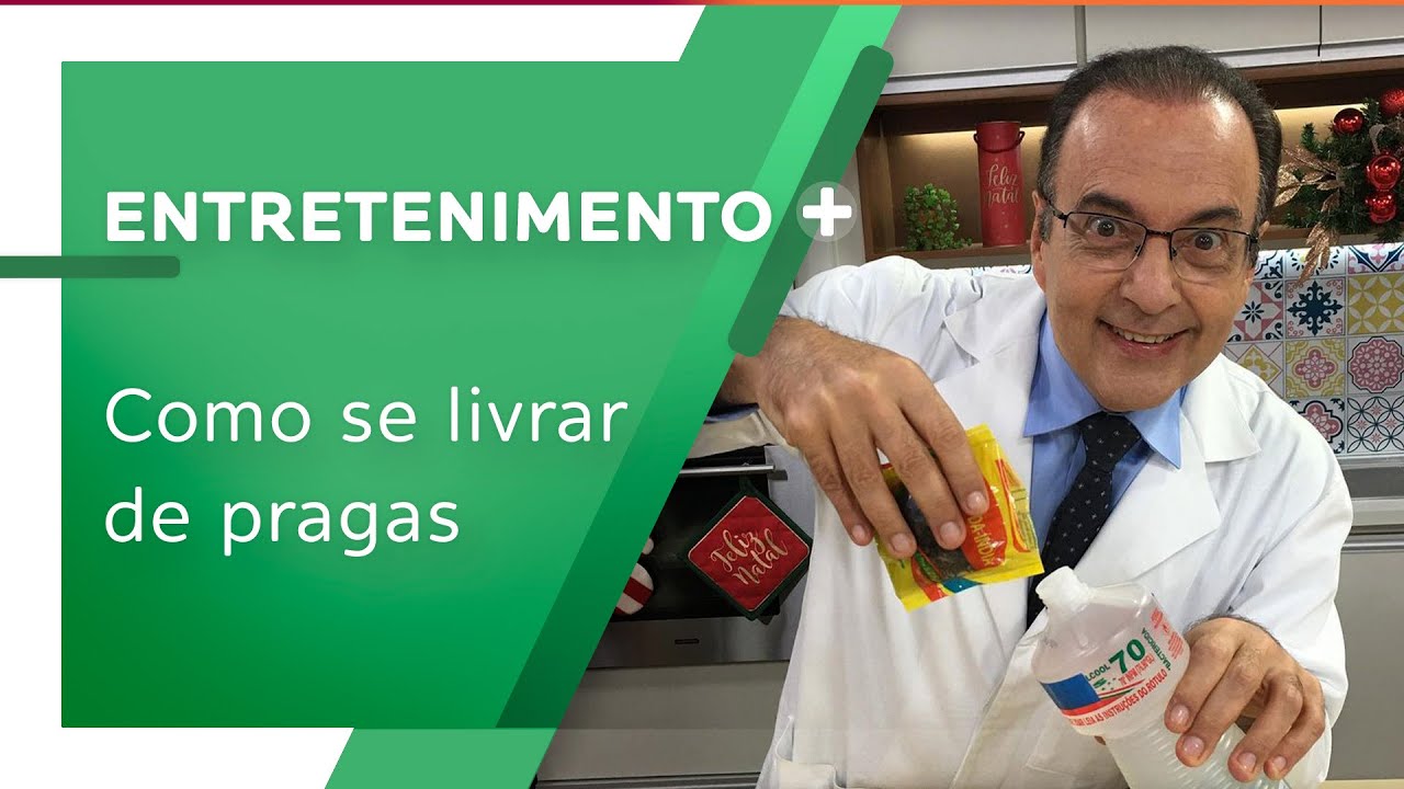 Dr. Bactéria dá dicas para se livrar das pragas