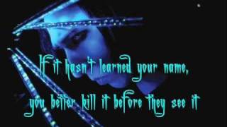 Arma-Goddamn-Motherfuckin-Geddon (Alternate Version) - Marilyn Manson [Lyrics, Video w/ pic.]