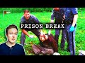 The Dannemora Prison Break The Story Death And Controversy
