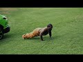 Rio Da Yung Og Sneaky B Official Video